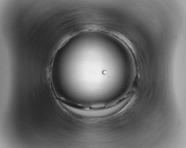 X0000099581385200805301551