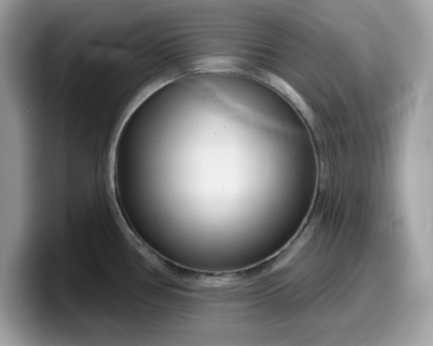 X0000099581386200805301551