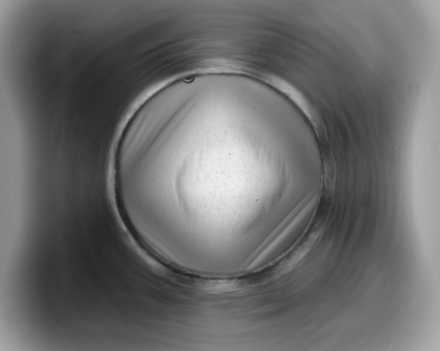 X0000099581387200805301551