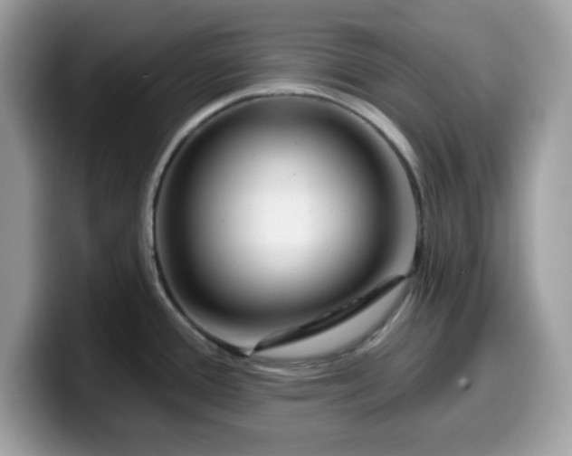 X0000099581388200805301551