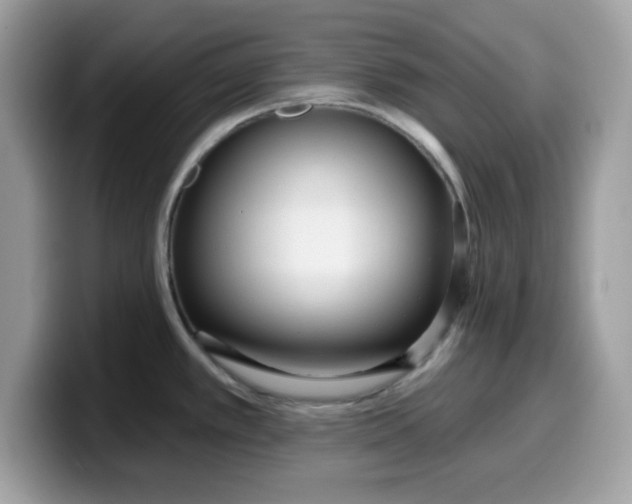 X0000099581389200805301551