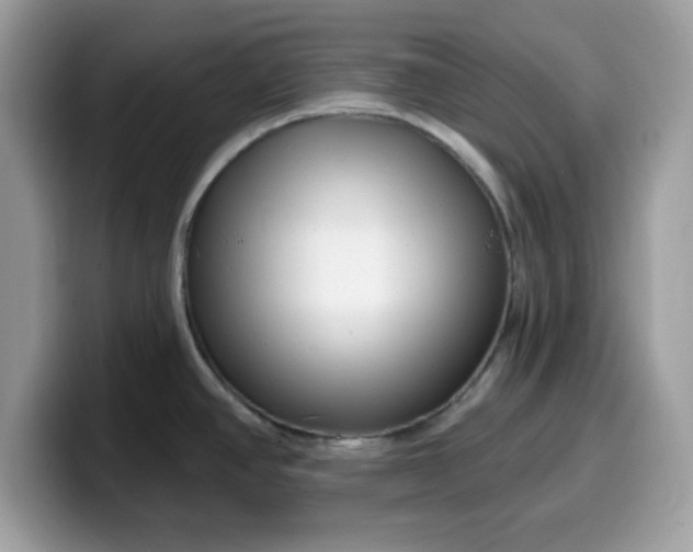 X0000099581390200805301551