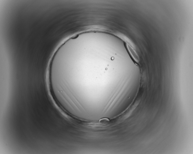 X0000099581391200805301551