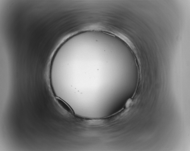 X0000099581392200805301551