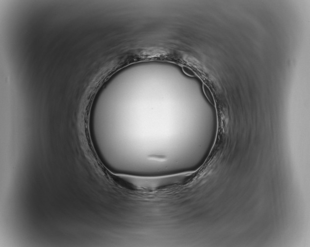 X0000099581393200805301551