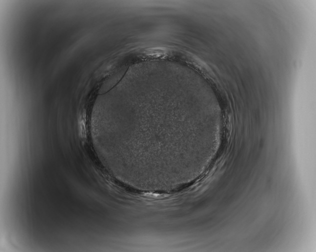 X0000099581394200805301551