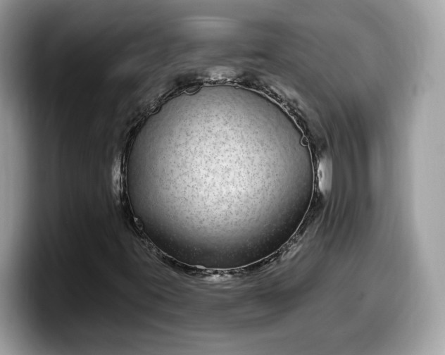 X0000099581395200805301551