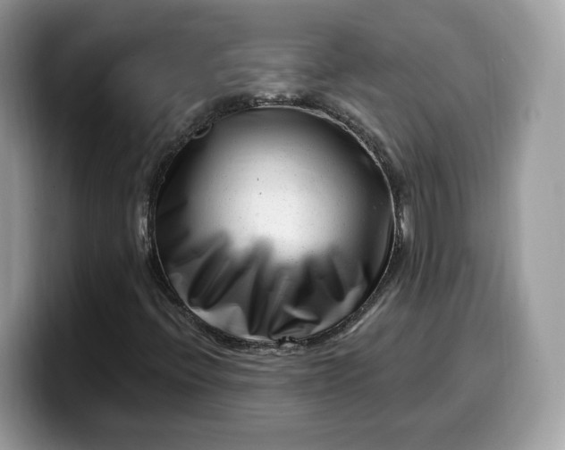 X0000099581396200805301551