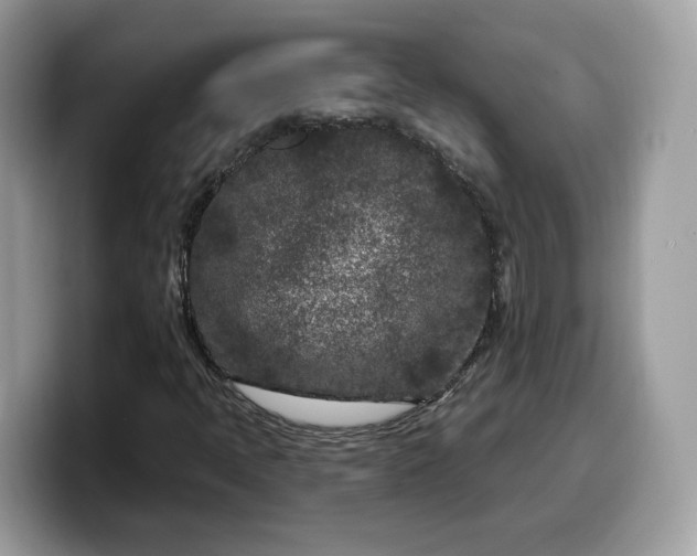 X0000099581397200805301551