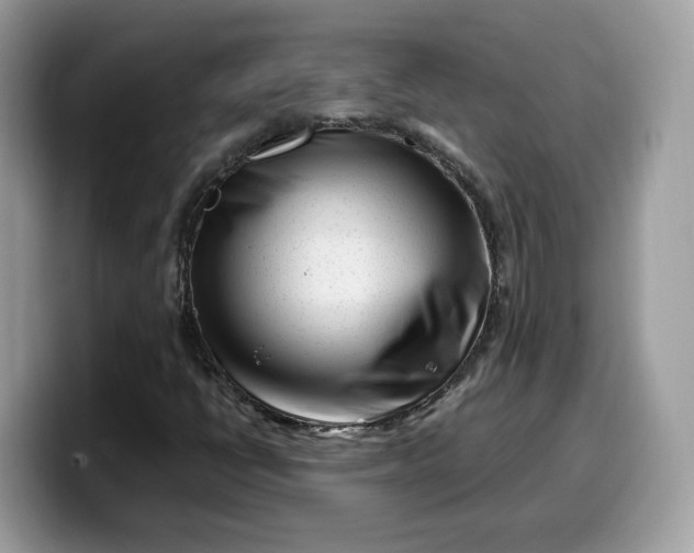 X0000099581398200805301551