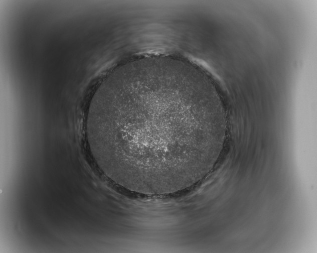 X0000099581399200805301551