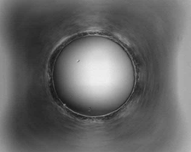 X0000099581400200805301551