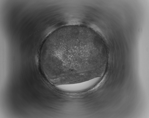 X0000099581401200805301551