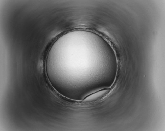 X0000099581402200805301551