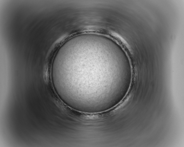 X0000099581403200805301551