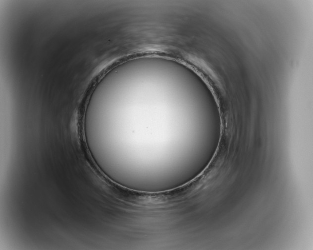 X0000099581404200805301551