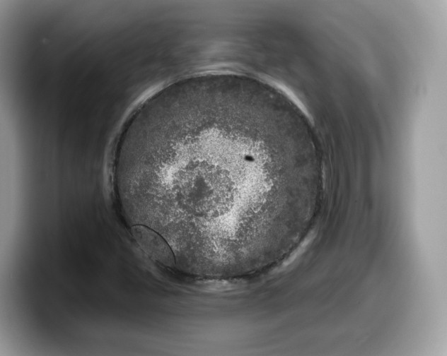 X0000099581405200805301551