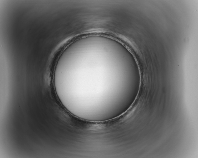 X0000099581406200805301551