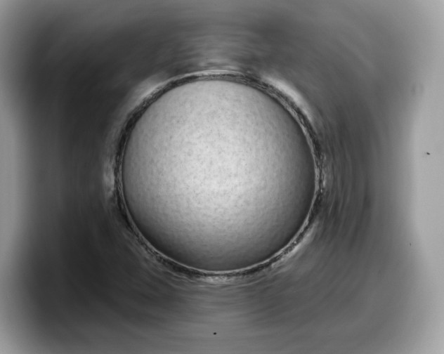 X0000099581407200805301551