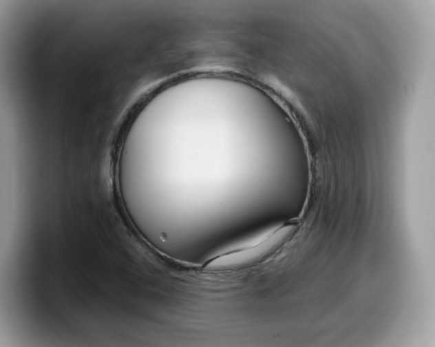 X0000099581408200805301551