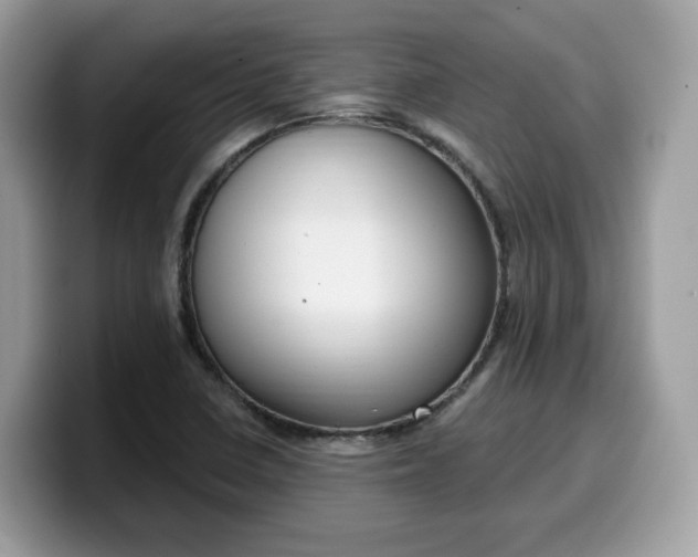 X0000099581410200805301551