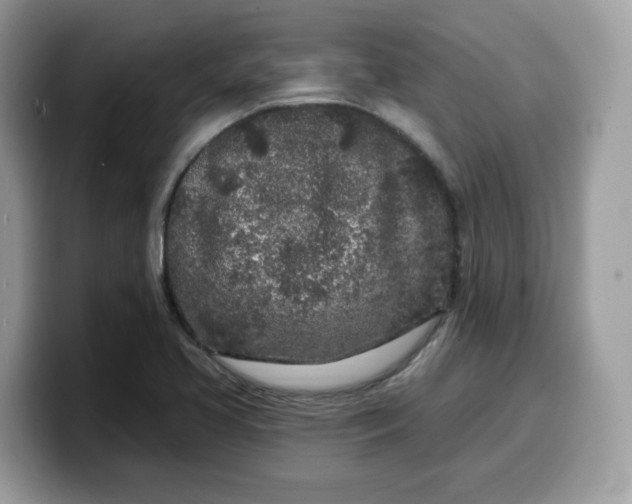 X0000099581413200805301551