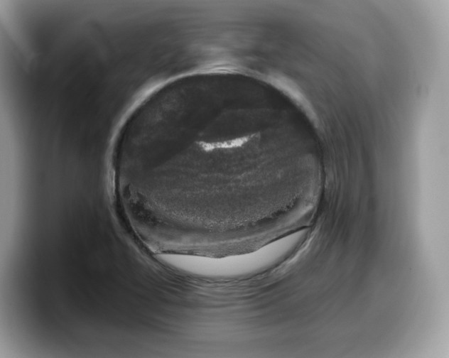 X0000099581414200805301551