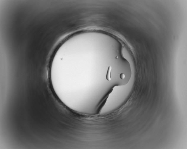 X0000099581416200805301551