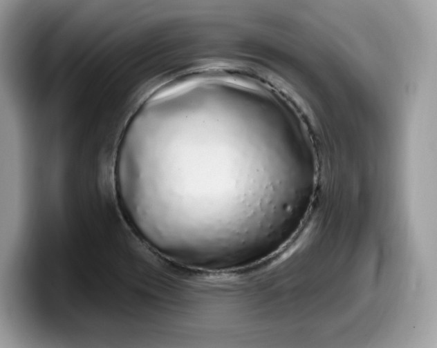 X0000099581417200805301551