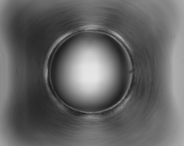 X0000099581418200805301551