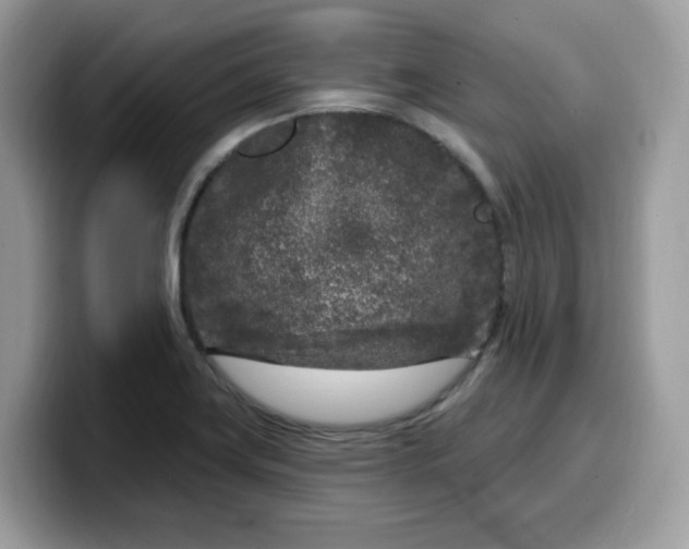 X0000099581419200805301551