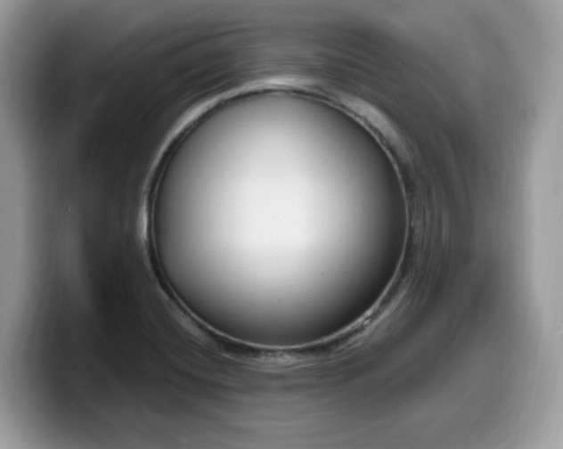 X0000099581420200805301551