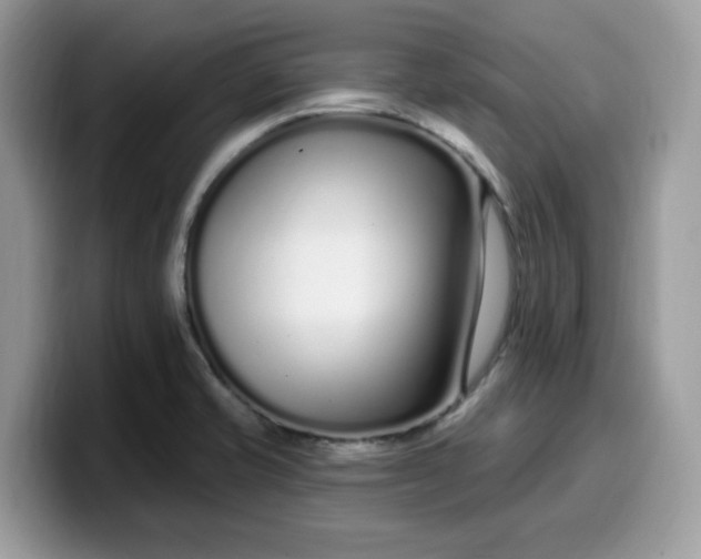 X0000099581421200805301551