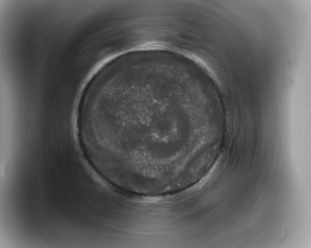 X0000099581422200805301551