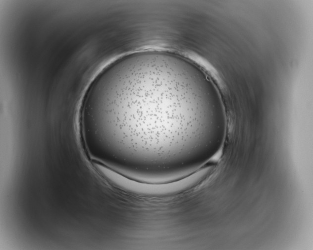 X0000099581423200805301551