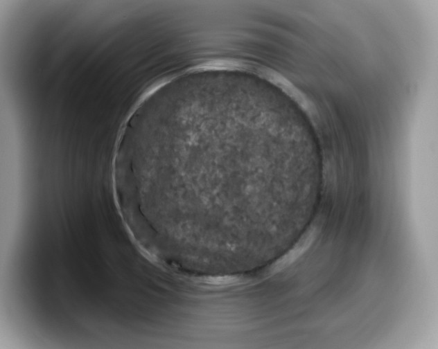 X0000099581425200805301551