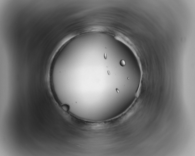 X0000099581426200805301551