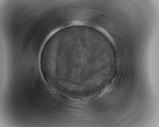 X0000099581427200805301551