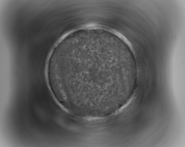 X0000099581429200805301551