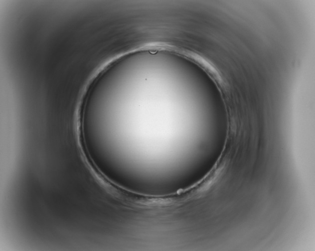 X0000099581430200805301551