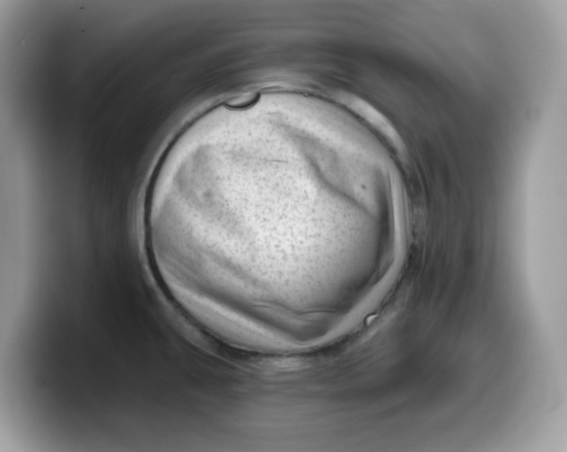 X0000099581431200805301551