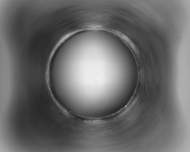 X0000099581432200805301551