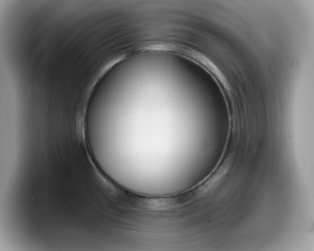 X0000099581433200805301551