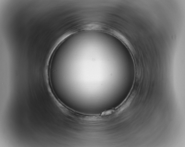 X0000099581434200805301551