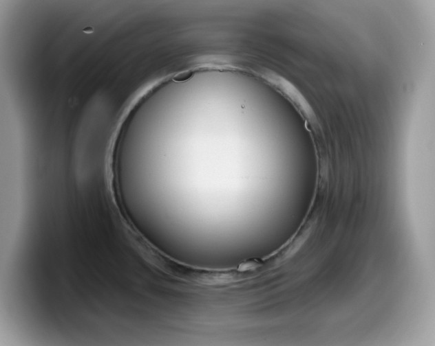 X0000099581435200805301551