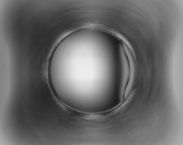 X0000099581437200805301551