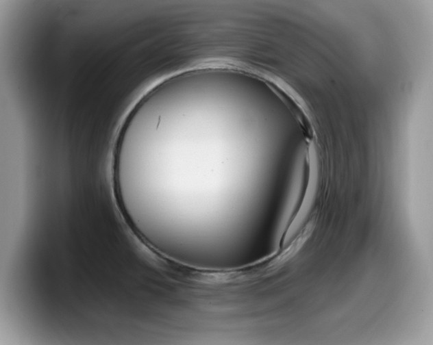 X0000099581438200805301551