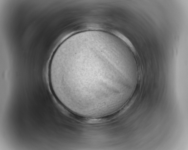 X0000099581439200805301551