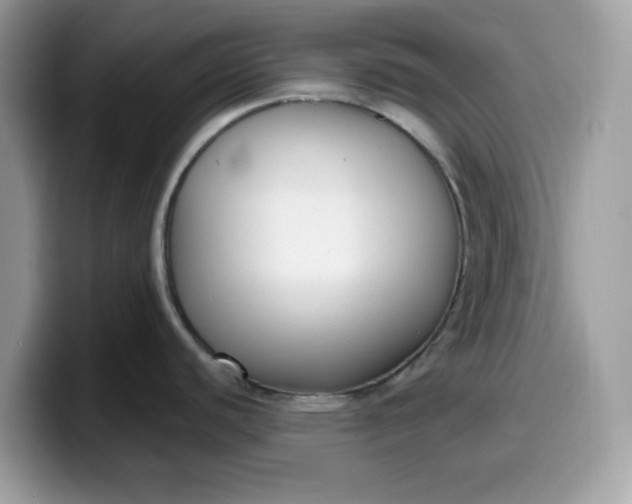 X0000099581440200805301551