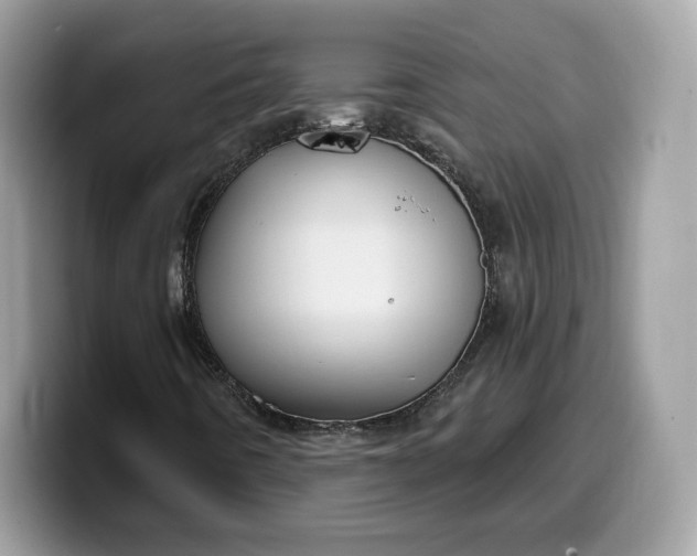 X0000099581442200805301551